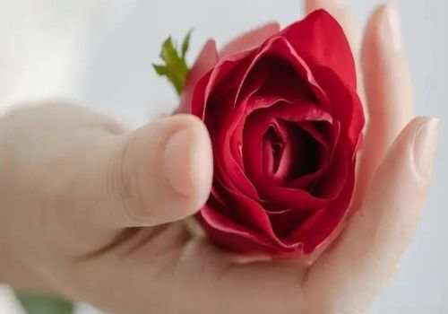 南京外遇調(diào)查取證：禁止結(jié)婚的親屬關(guān)系的計(jì)算方法